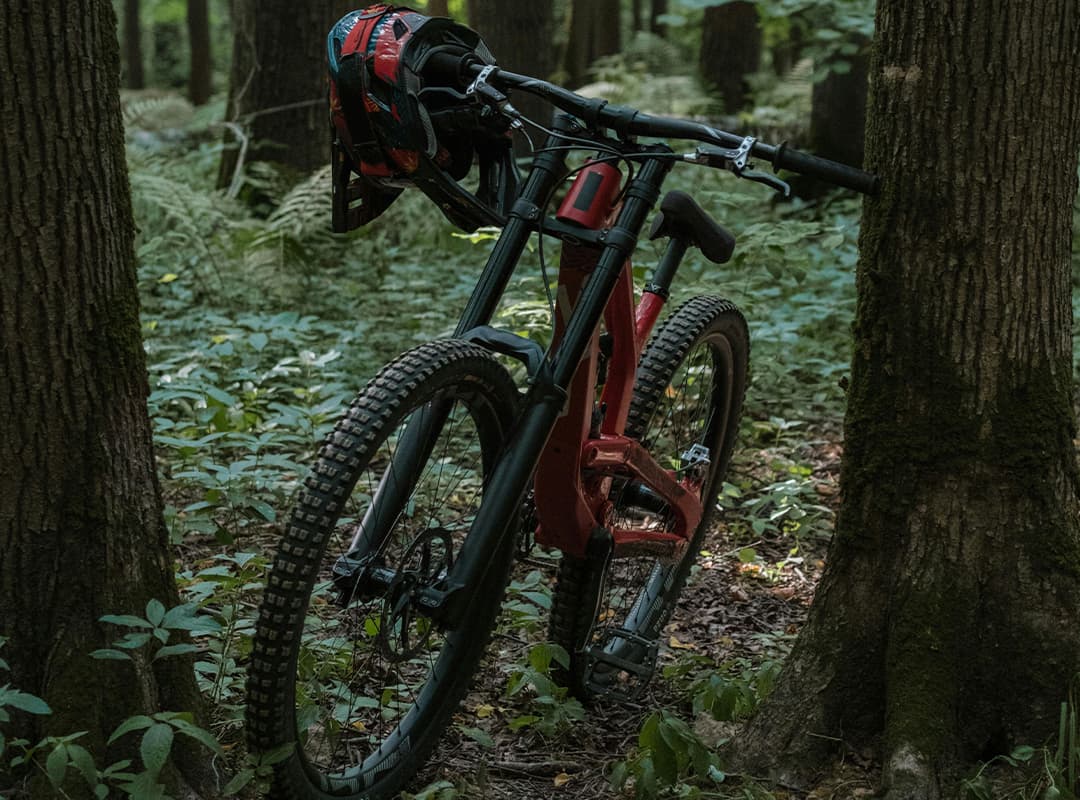 Mountain Biking: Both Challenging and Easy in New Zealand