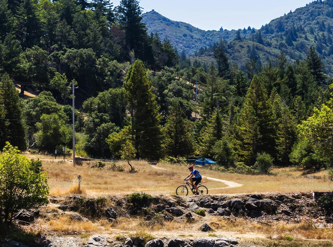 Challenging MTB Trails in New Zealand: Trials for Experienced Riders